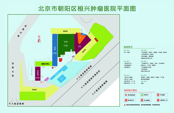 青青插逼逼北京市朝阳区桓兴肿瘤医院平面图